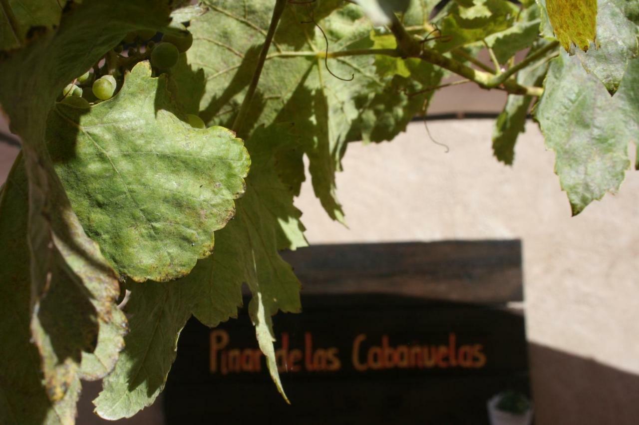Pinar De Las Cabanuelas ビジャヌエバ・デ・ドゥエロ エクステリア 写真